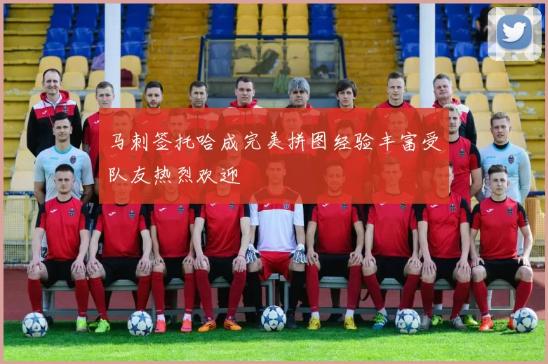 马刺签托哈成完美拼图经验丰富受队友热烈欢迎