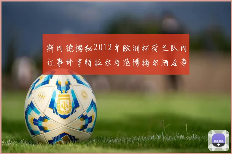 斯内德揭秘2012年欧洲杯荷兰队内讧事件亨特拉尔与范博梅尔酒后争执内幕